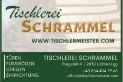 Schrammel_Tischler_bote256.indd