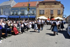 Bezirksfeste-88