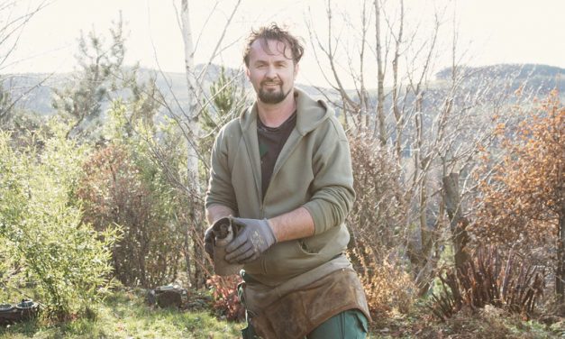 Experimentier-Garten in der Buckligen Welt