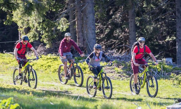 Auf dem Weg zur Bike-Region
