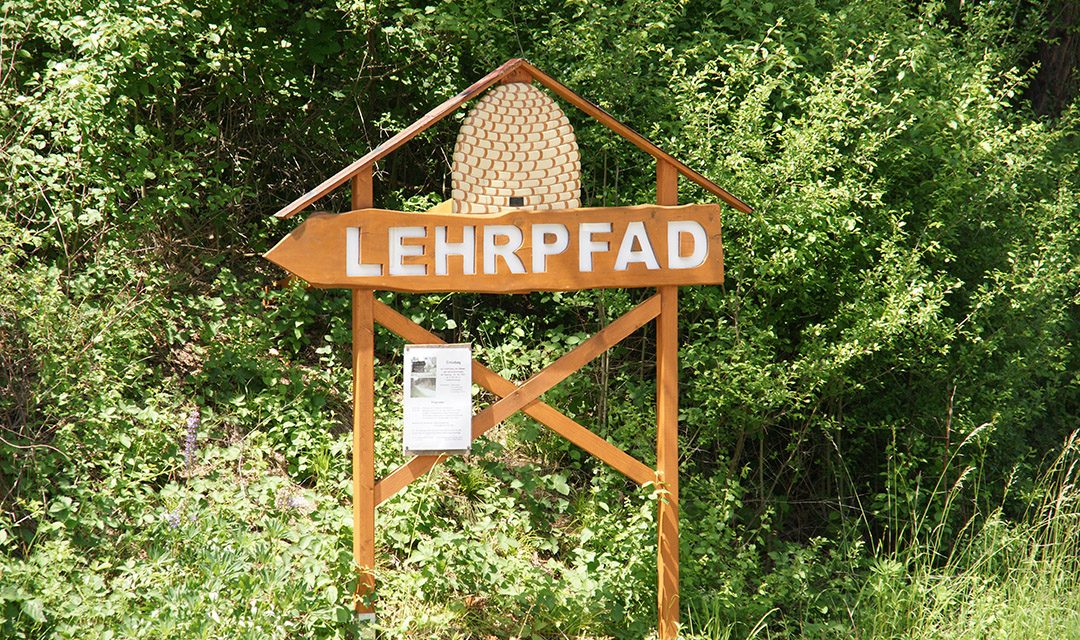 Kirchschlags Imker laden zum Tag des offenen Bienenstocks