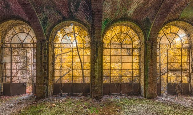 Ausstellung: „Die Ästhetik des Verfalls“