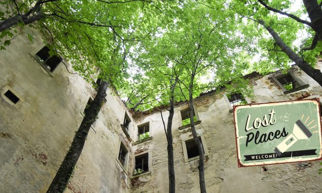 Ruine Thernberg kämpft gegen den Zerfall