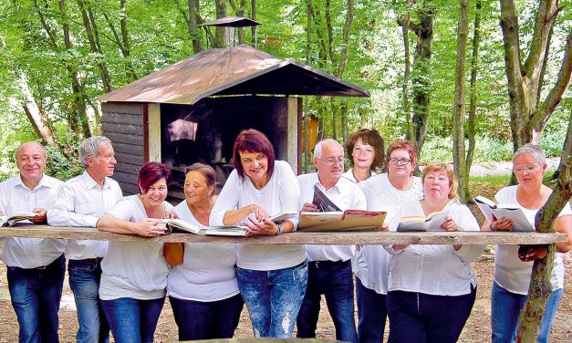 Lesung: Sommergedanken im Pavillon in Seebenstein