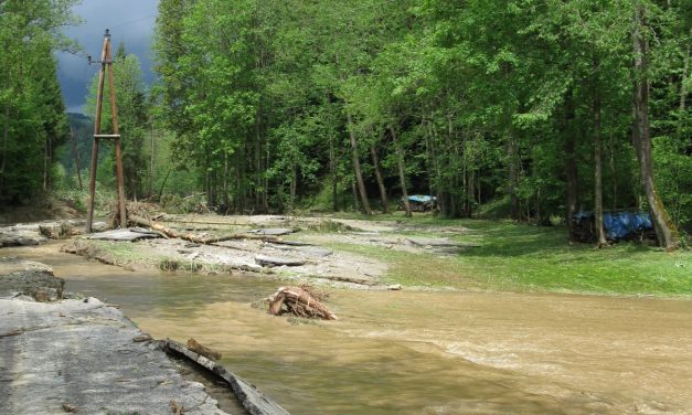 Ideen in Sachen Klimawandel