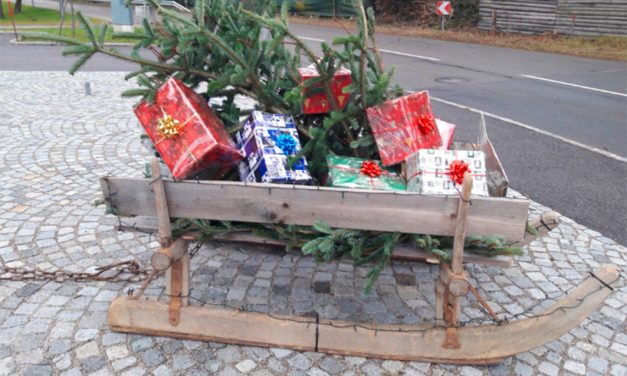 Park soll wieder Zentrum werden