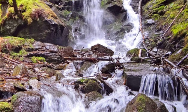 Ausflugstipp: Themenweg Wasser