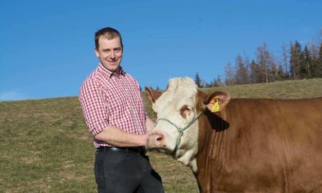 Riesen, Zwerge und die Ur-Milch