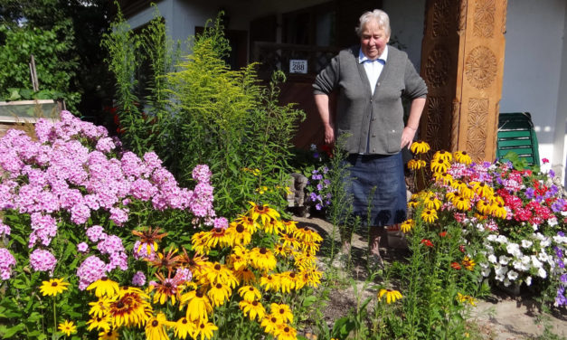 Ein Paradies für Flora und Fauna