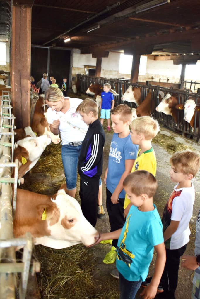 Geburtstag am Bauernhof2