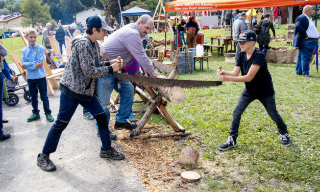 Holz und altes Handwerk in Tiefenbach