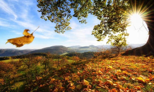 Eine Region voller Lieblingsplätze