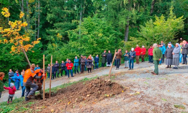 Klosterwald als letzte Ruhestätte