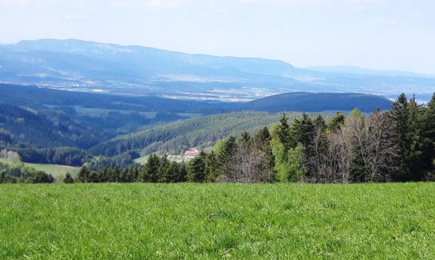 Ausflugstipp: Hollabrunn/Hochegg