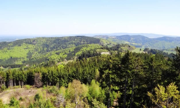 Ausflugstipp: Hutwisch