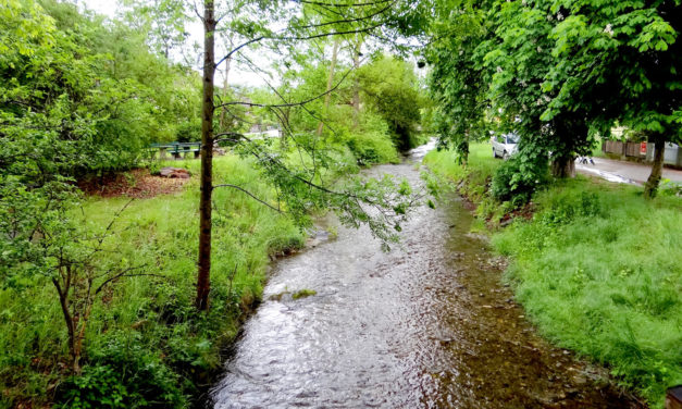 Hochwasserschutz und Erholungsraum