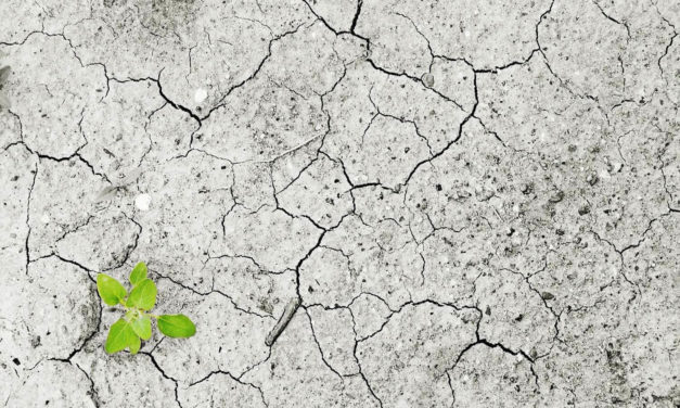 Klimawandel – Herausforderung  und Chance  in unserer Region!