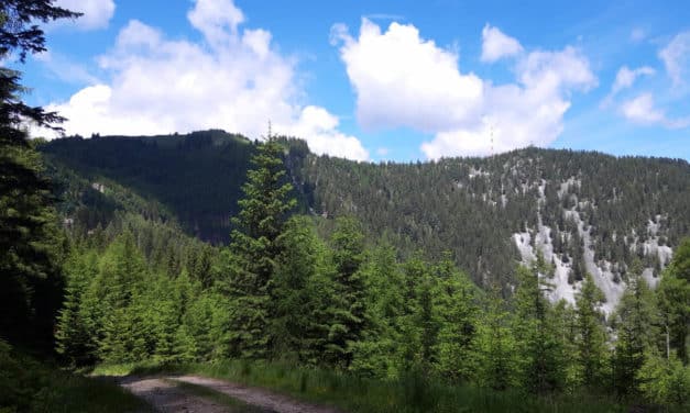 Ausflugstipp: Alpkogel Trattenbach