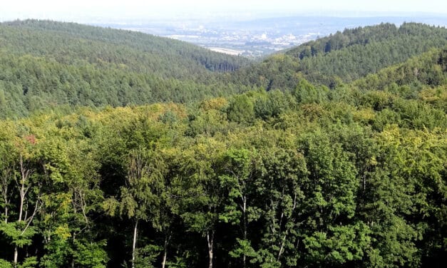 Excursion tip: Bourbon – Path & Lookout