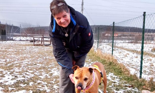 „Jedes Tier ist irgendwann vermittelbar“