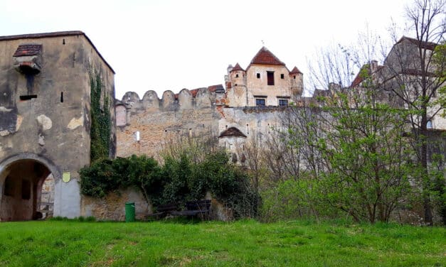 Ausflugstipp: Naturpark Seebenstein