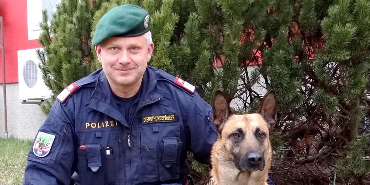 Einsatz-Partner auf vier Pfoten