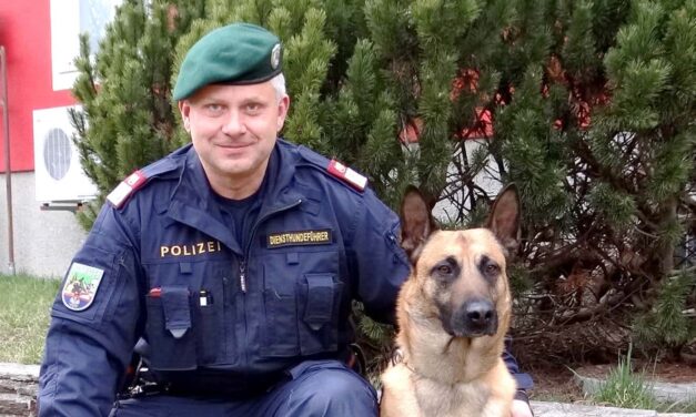 Einsatz-Partner auf vier Pfoten