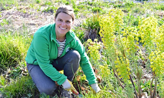 „Natur im Garten“ als Arbeitsplatz