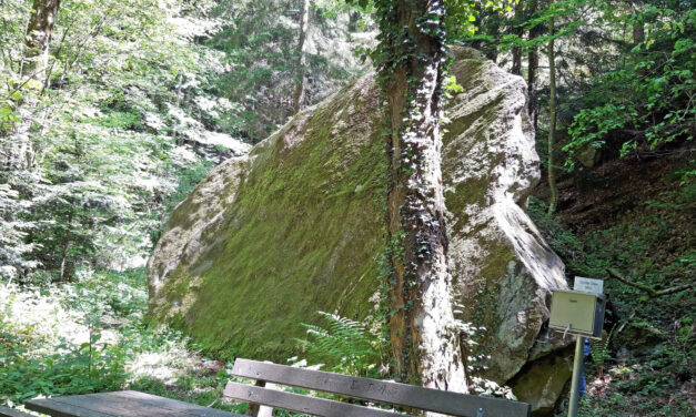 Ausflugstipp: „Großer Stein“ in Edlitz