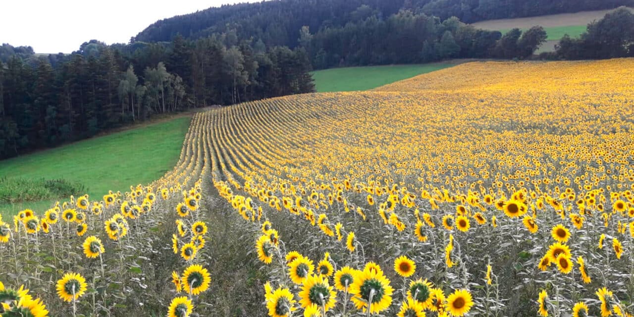 Eine Region voller Lieblingsplätze