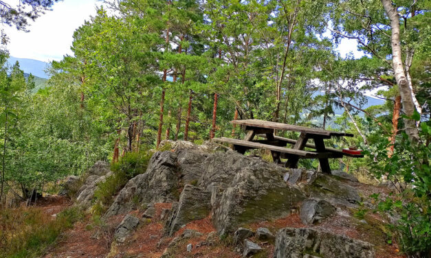 Excursion Tip – Wartenstein Circular Route