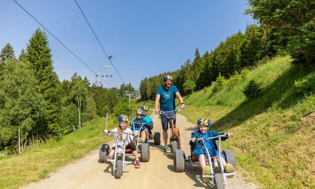 Erlebnisalm Mönichkirchen: wandern, Mountaincart fahren und schaukeln