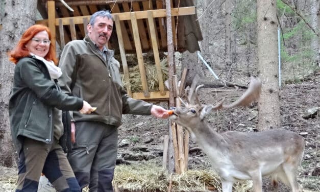 Tierisch gut drauf mit Hirsch und Huhn