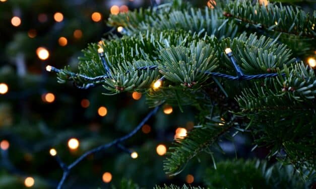 Brandgefahr durch Lichterketten