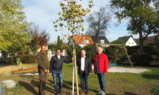 Aufforstung: Baumvielfalt für Katzelsdorf