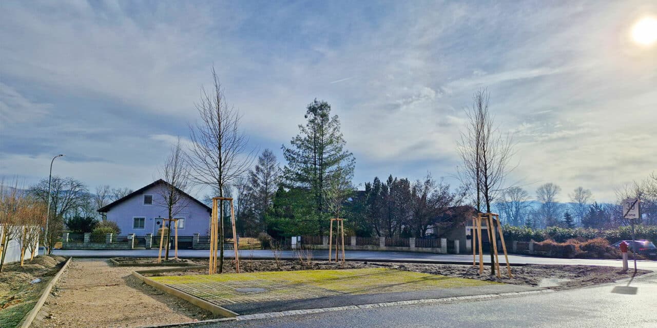Bäume für Lanzenkirchen