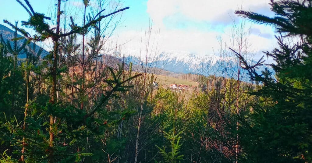 ausflug_Ausblick