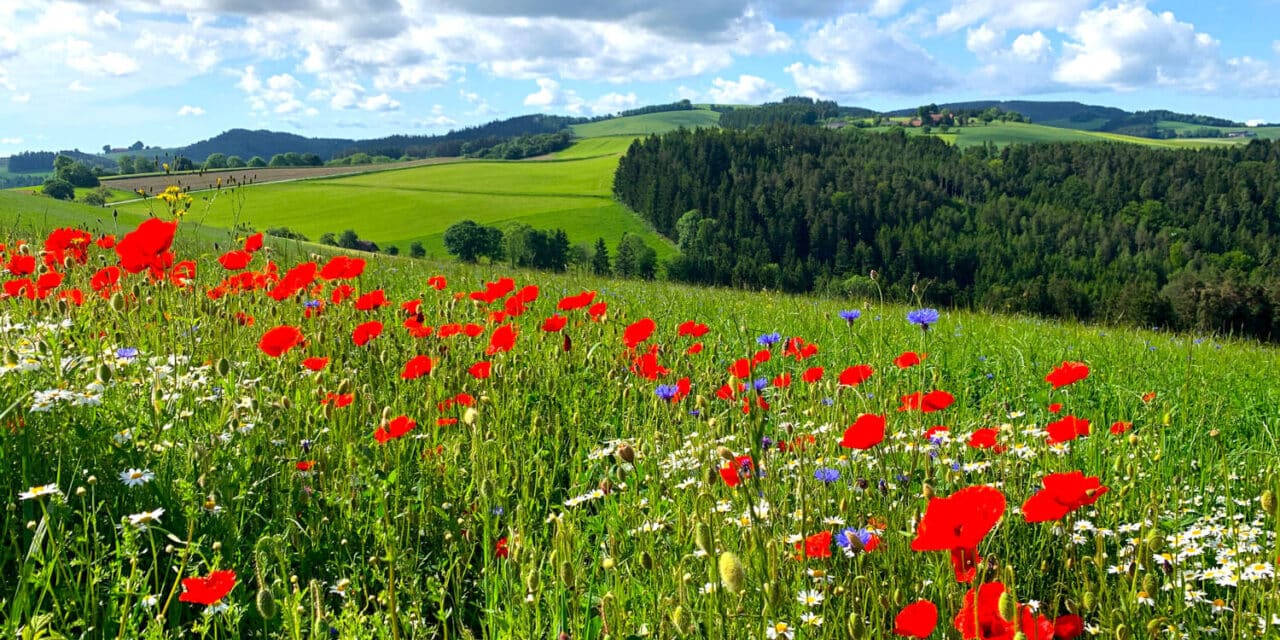 Eine Region voller Lieblingsplätze