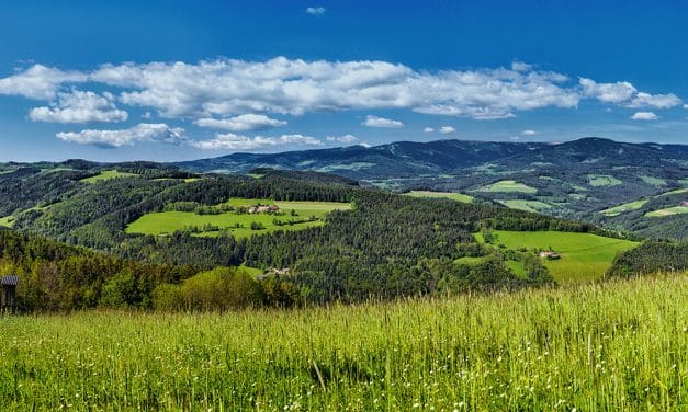 30 Jahre EU-Beitritt – 25 Jahre LEADER