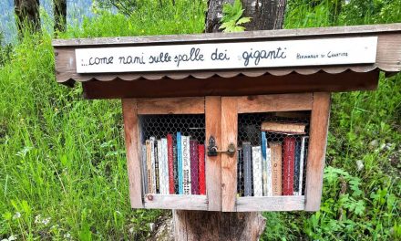 Volles Programm in der Bibliothek
