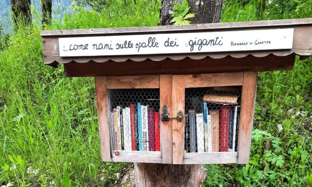Volles Programm in der Bibliothek