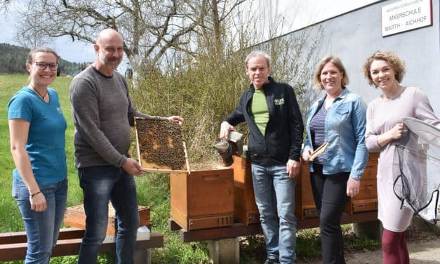 Im Zentrum der Honigbienen