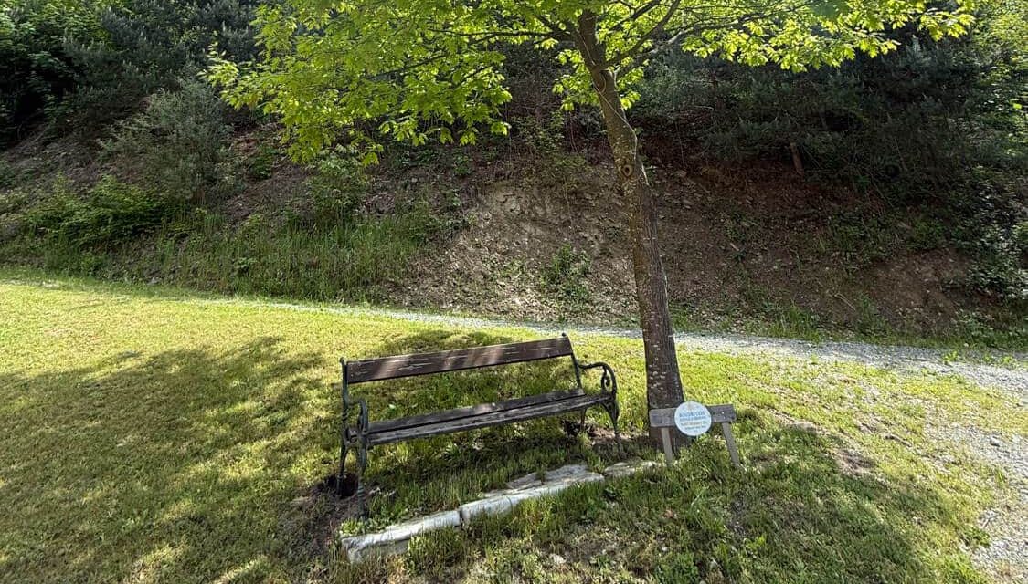 Eine Region voller Lieblingsplätze