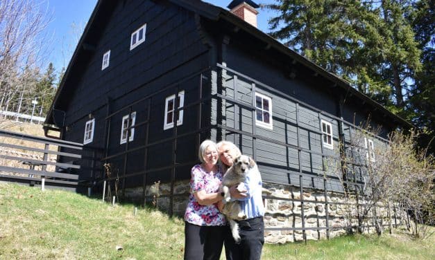 Neues Kapitel für kleine „Loos-Villa“