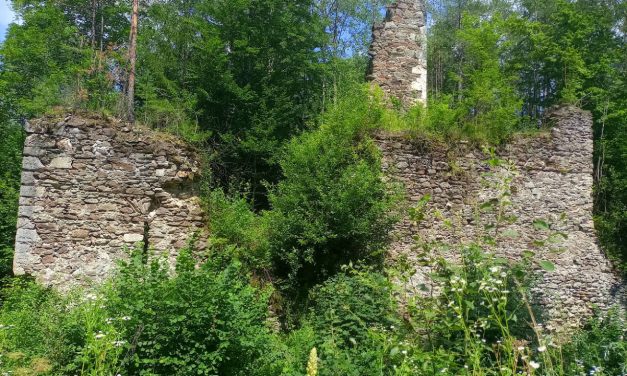 Kirchau-Runde mit Ruine Stubenberg