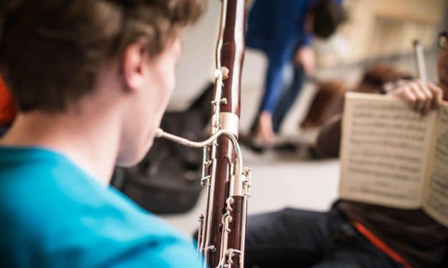 Musikschulen werden (zusammen-)wachsen