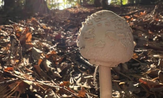 Eine Region voller Lieblingsplätze