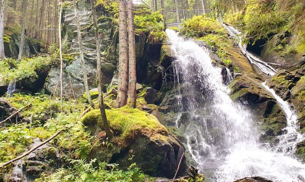 Schindlsteig und wilde Wasser
