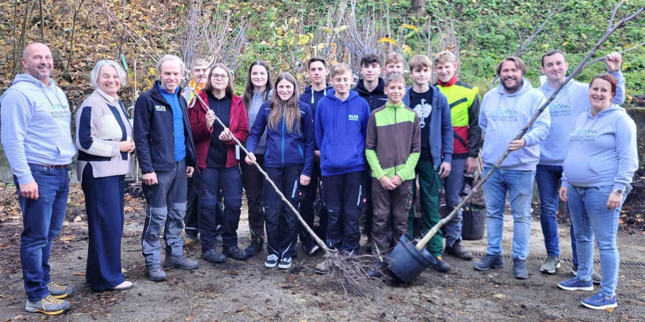 Neue Obstbäume für die ganze Region