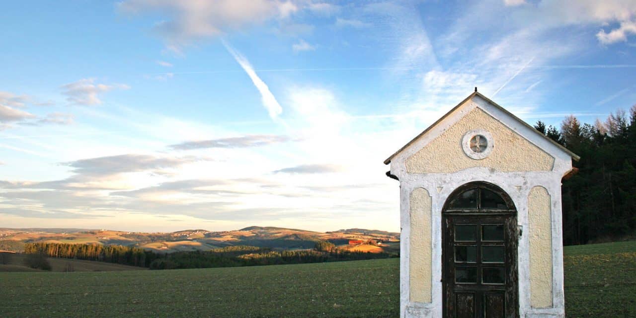 Fotowettbewerb: Platz drei für „Stammgast“